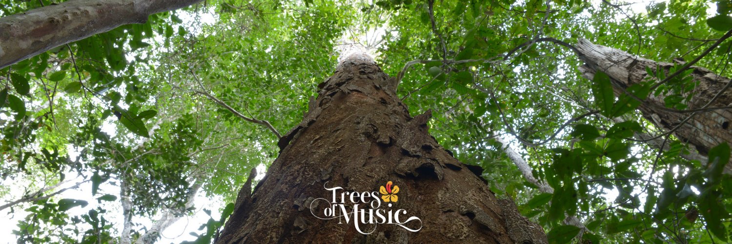 treesofmusic's profile banner image