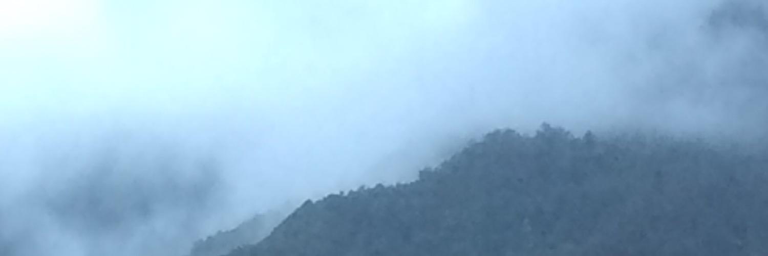 ben_avila's profile banner image