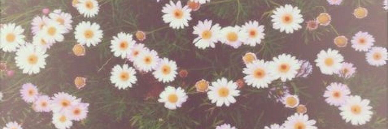 nursuffie's profile banner image