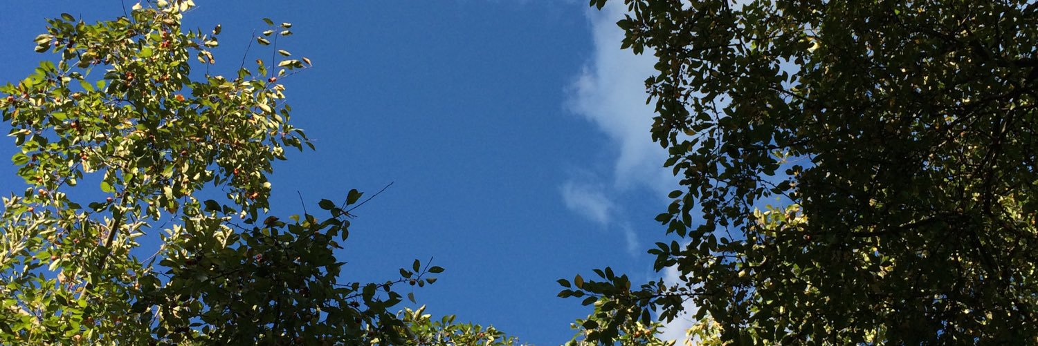 kravitzh's profile banner image
