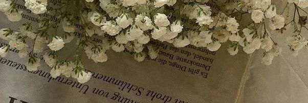 Kinderpy's profile banner image