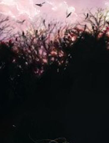 murasakiyuri's profile banner image