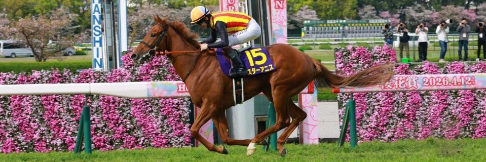 🀄️🐎⚽️🏎️💹ふらんく＠とらんすぽーたー🐸🦌🥫📕 banner