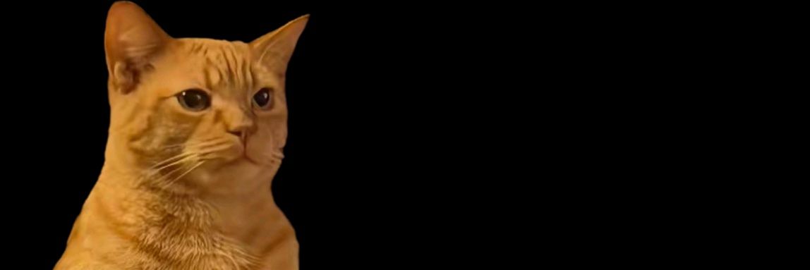 Dani banner