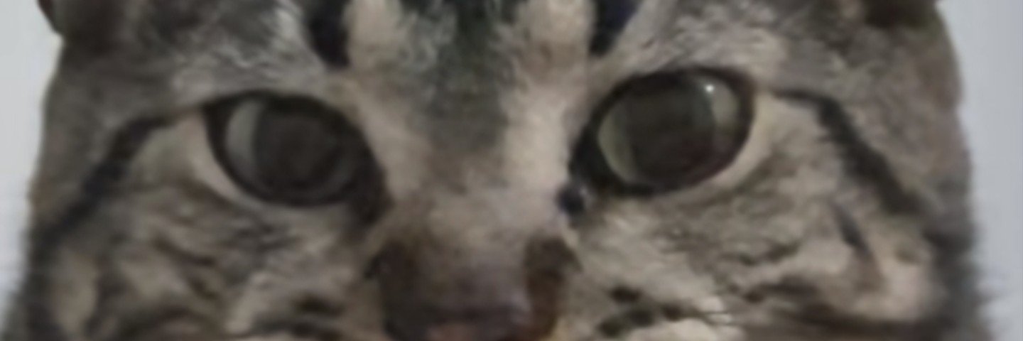 Melinx_N's profile banner image