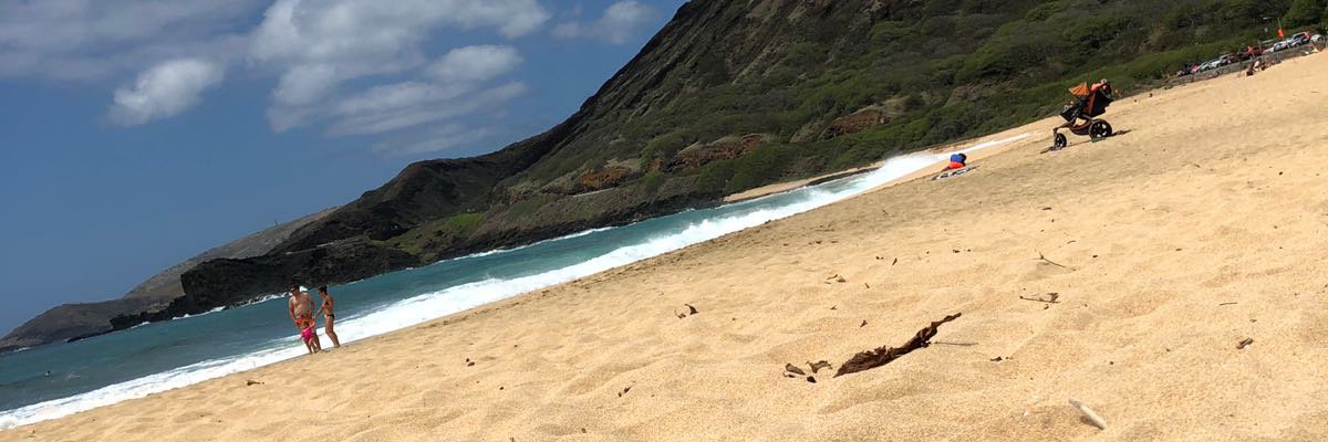 bjt243's profile banner image