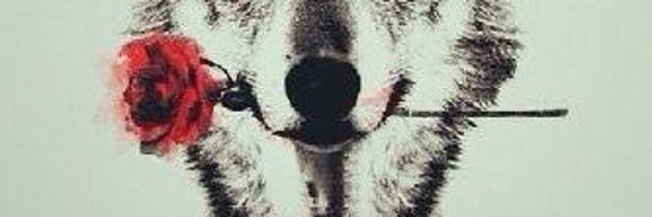 k1122hl Profile Banner