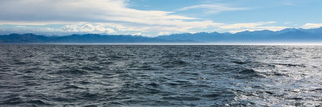 Patrick Mathieson 🇺🇸 banner