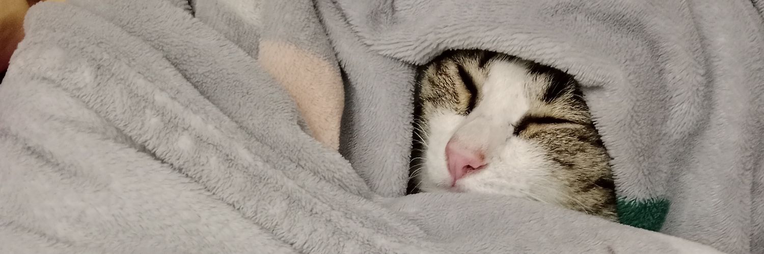 🐥🎈: restติดงานจ้า banner