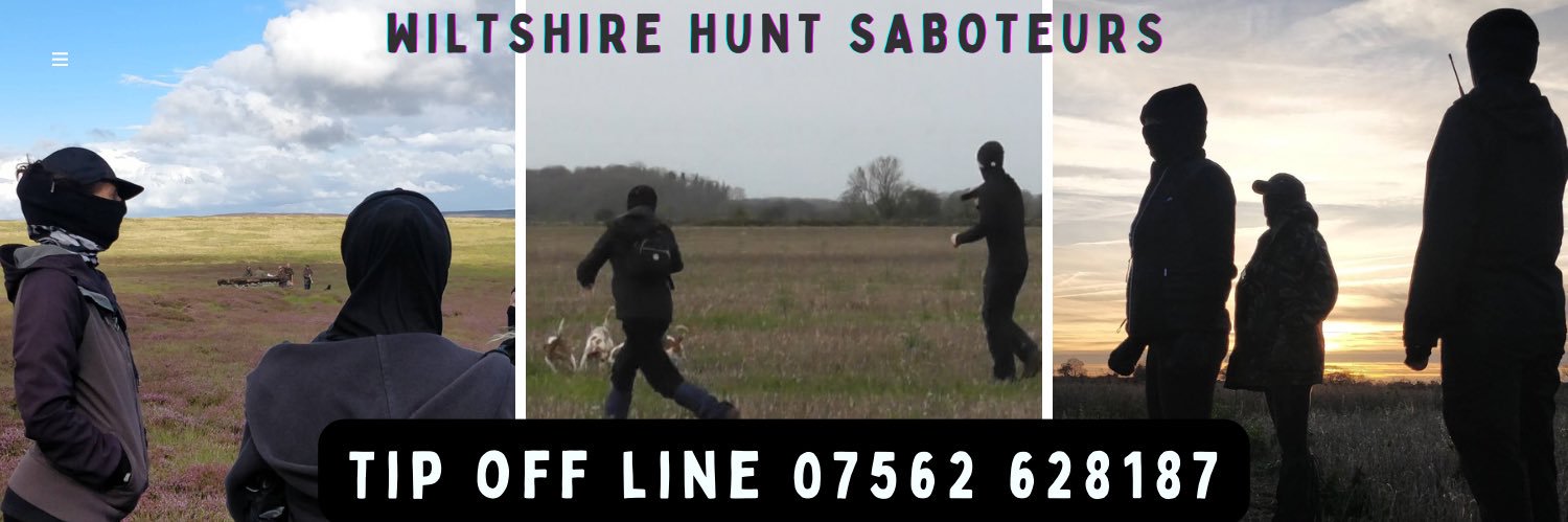 Wiltshire Hunt Saboteurs's banner