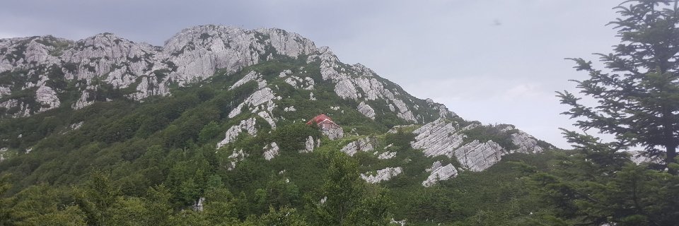 MarkoGornik's profile banner image