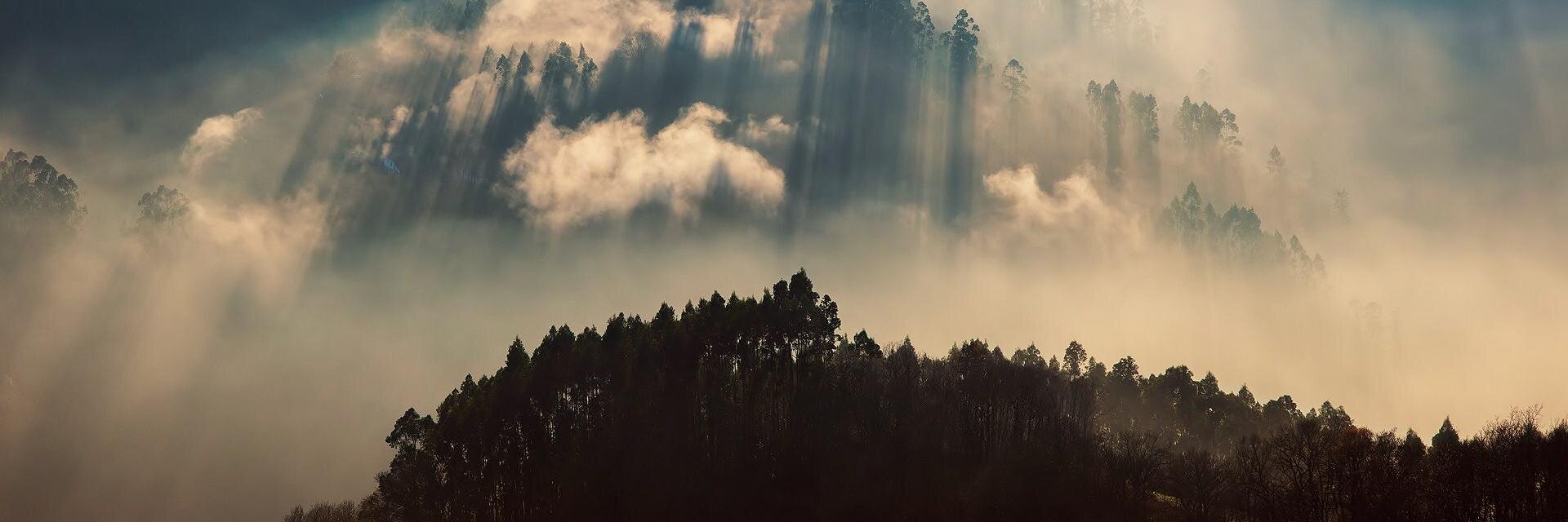 msfaarhanah's profile banner image