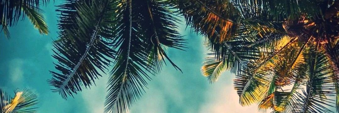 andi_gethoo's profile banner image