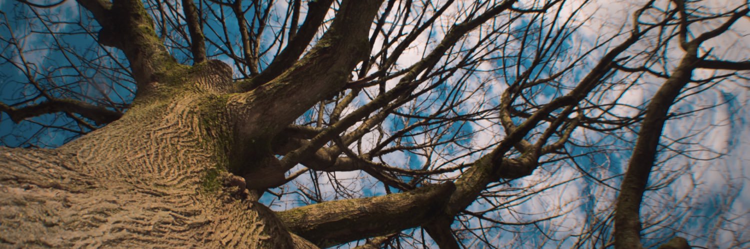Unique_captures's profile banner image