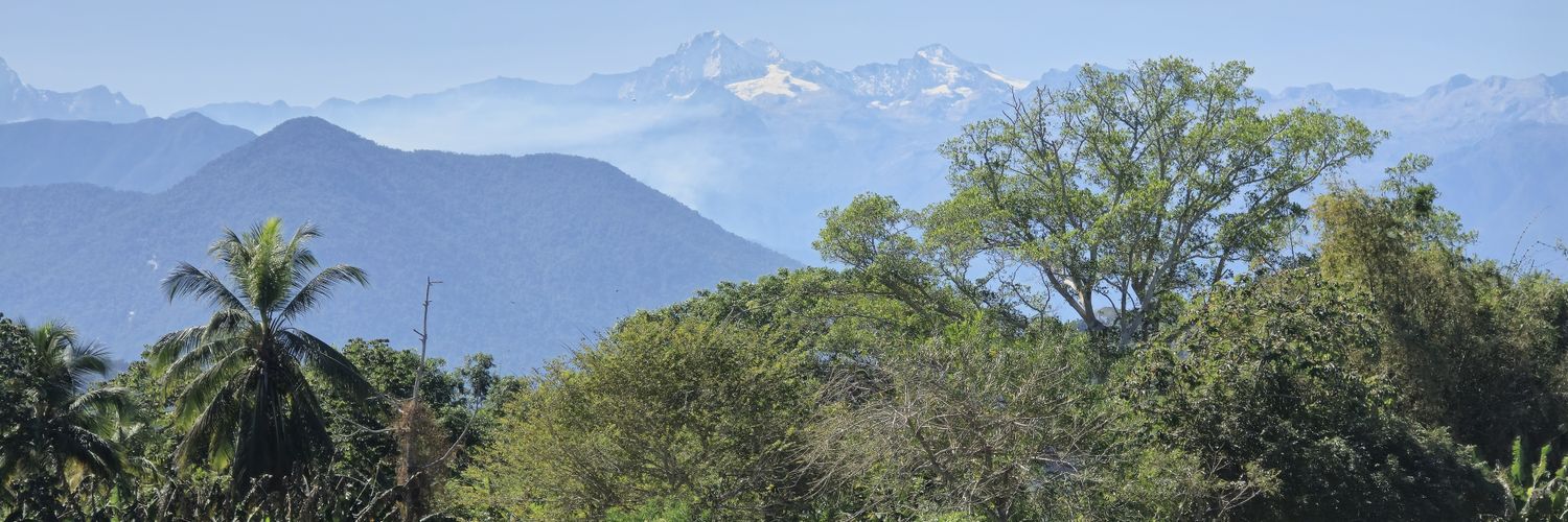 Ondippulee | ஒண்டிப்புலி banner