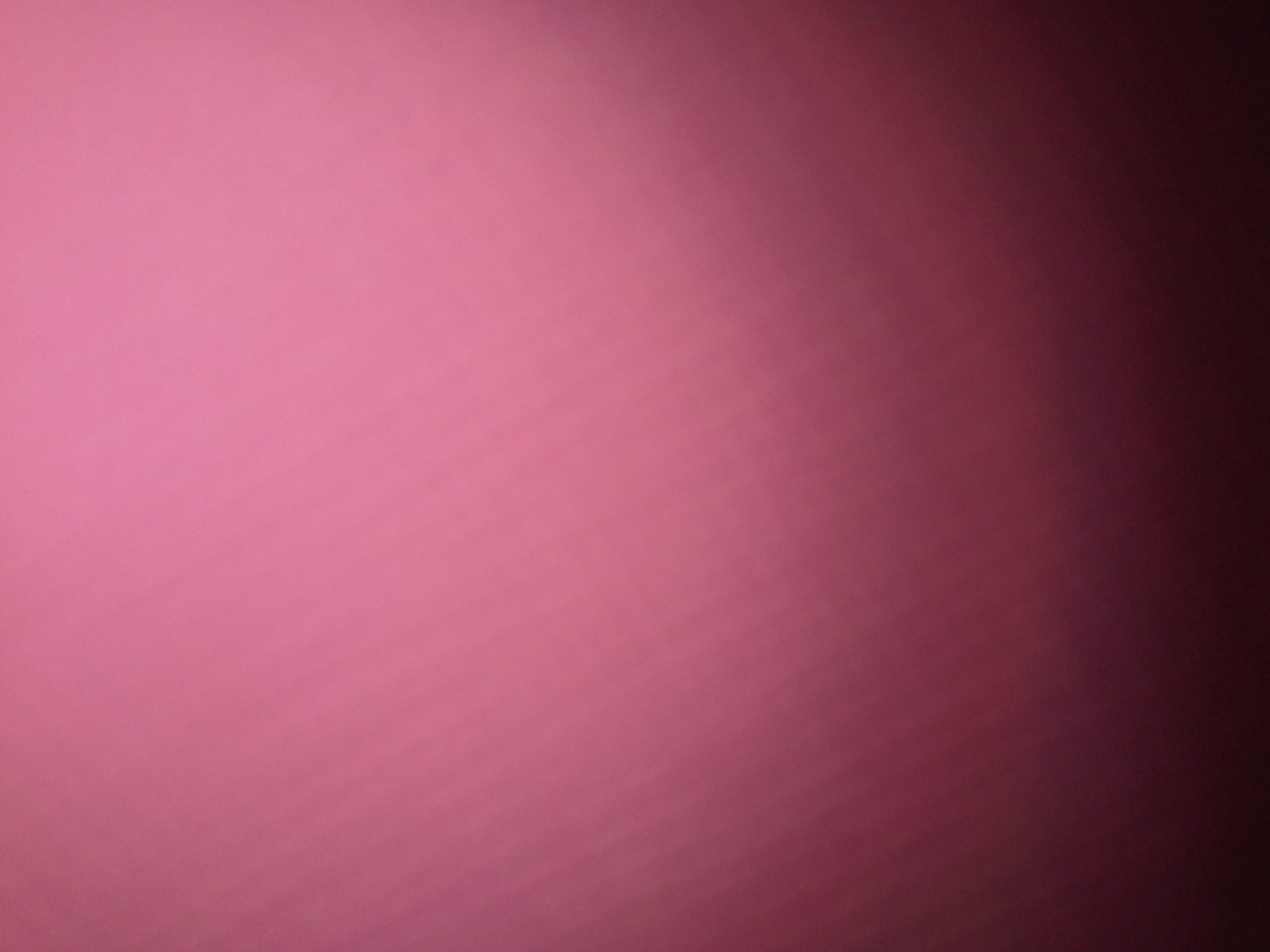 paula90146's profile banner image