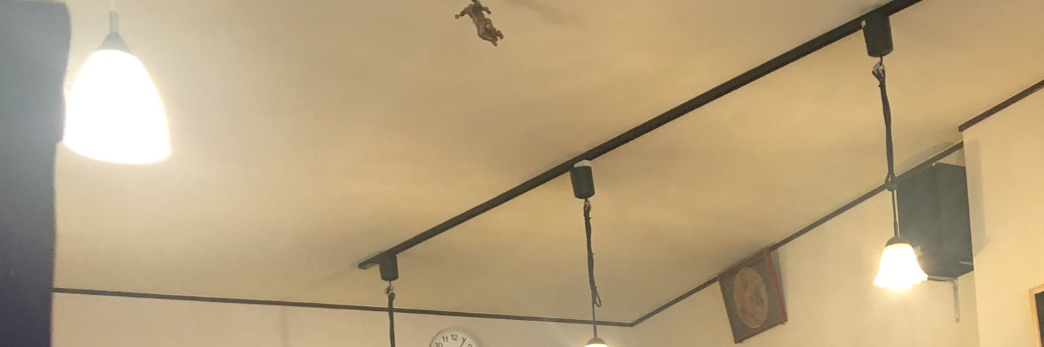 Zeppeli6767's profile banner image
