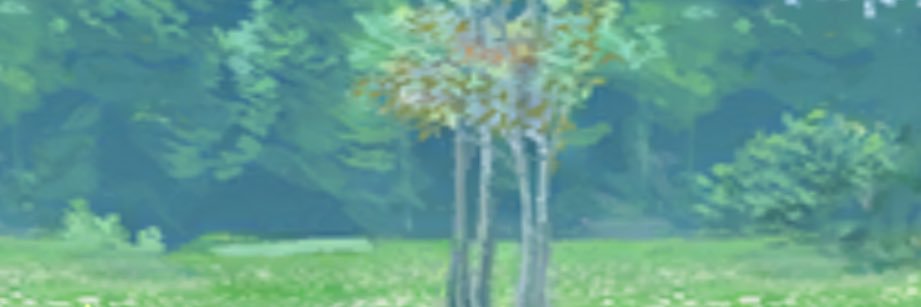 F. banner