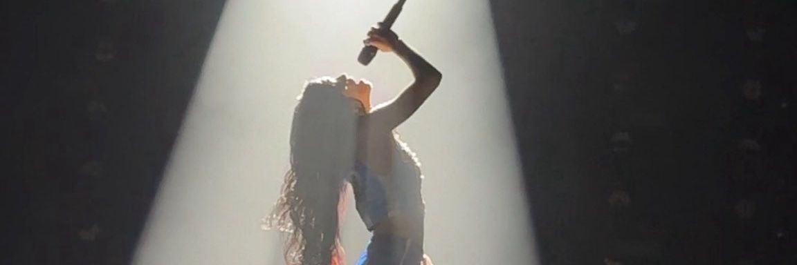 veganlali's profile banner image