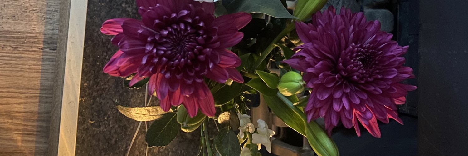Helseybabe's profile banner image