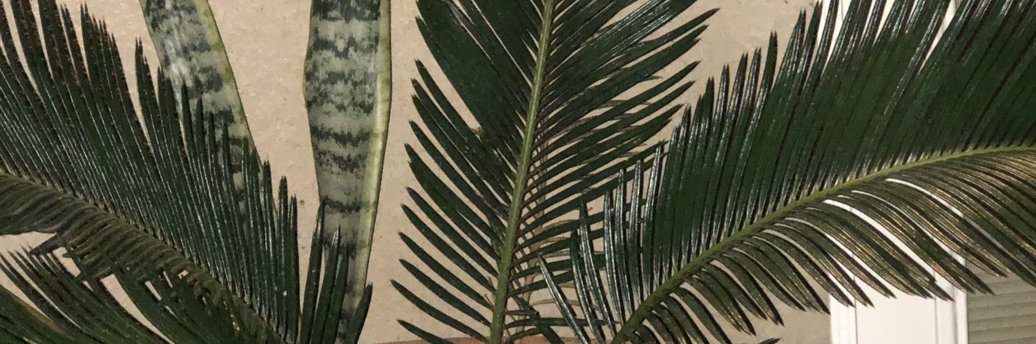 krvstian's profile banner image