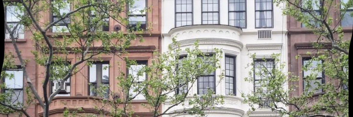 Krista | NYC banner