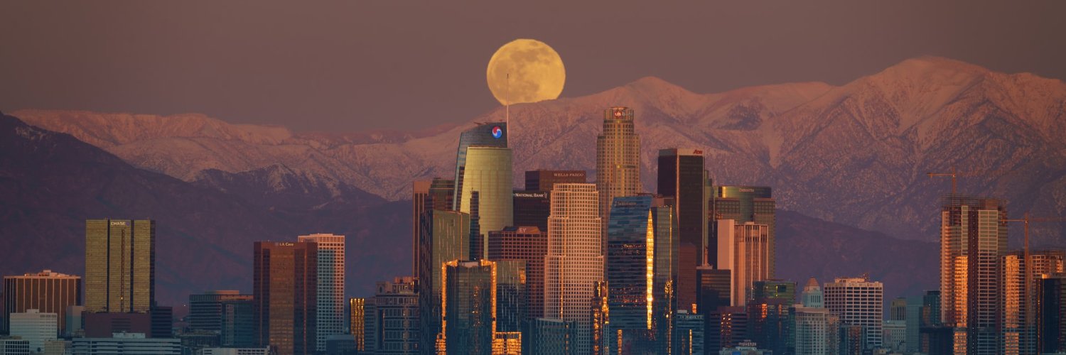 robin whitney banner