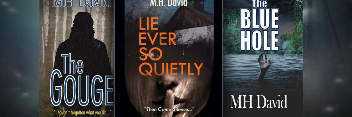 Author M H David's banner