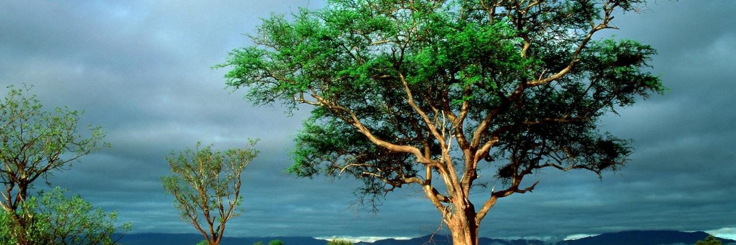 Modeun's profile banner image