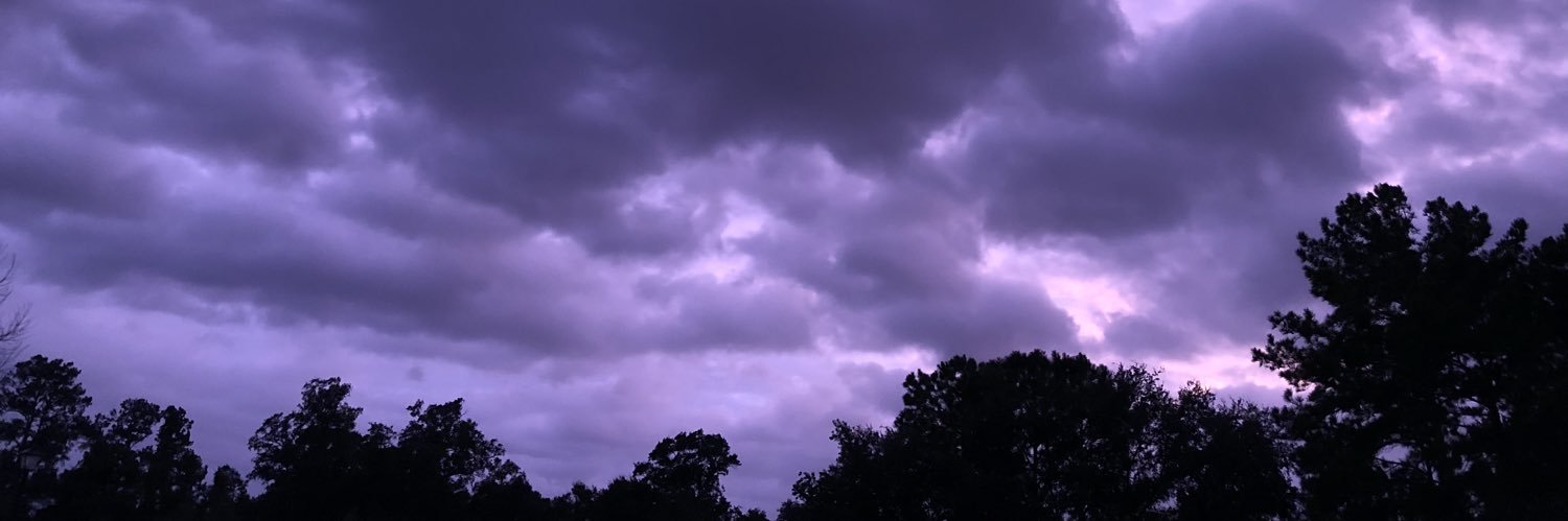 mary_mo's profile banner image