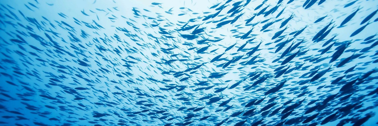 Gregory Britten banner