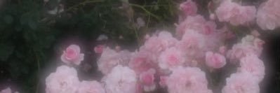 n_thrki's profile banner image