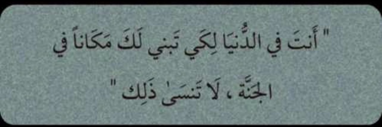 آلاء ALAA - 𓂆🔻 banner