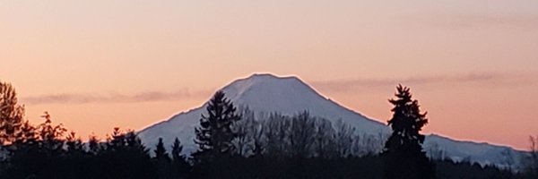 ShaunaCrook13 Profile Banner