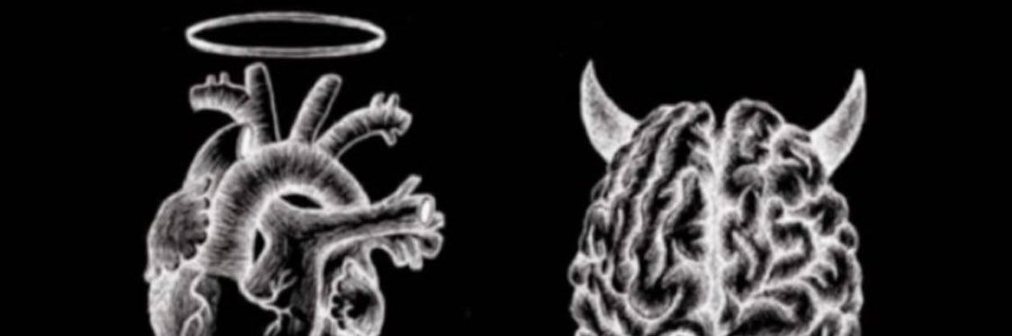 TCroguennec's profile banner image
