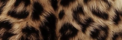 that_blackk's profile banner image