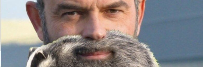 toitoinous's profile banner image