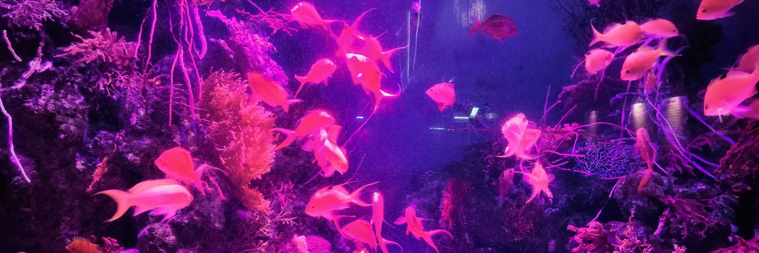 tatsuki0315's profile banner image