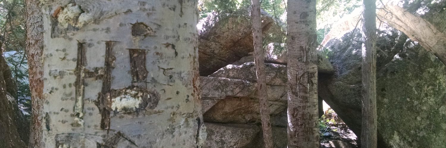 cassie wilson banner