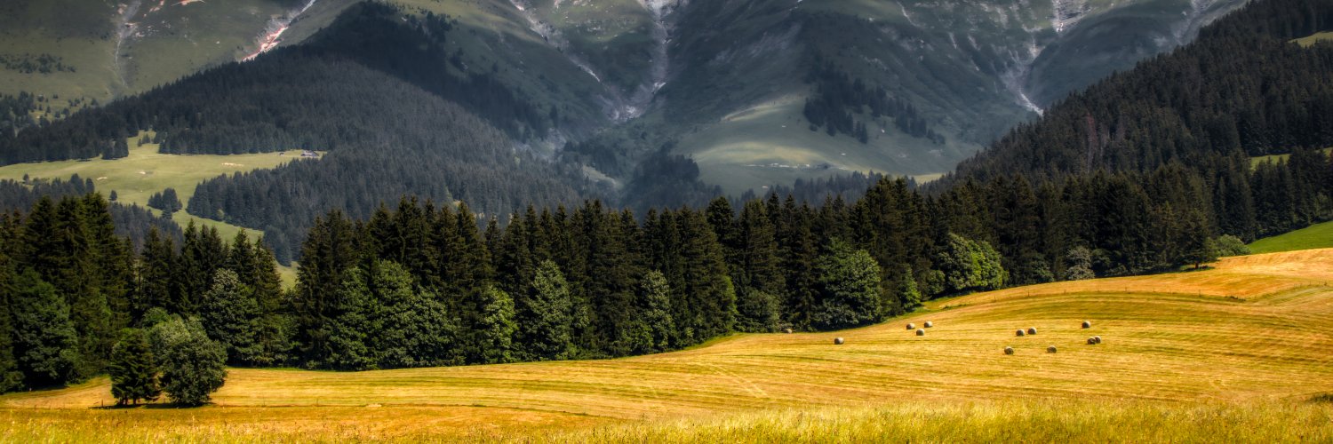 Fernando Cortes Leal banner