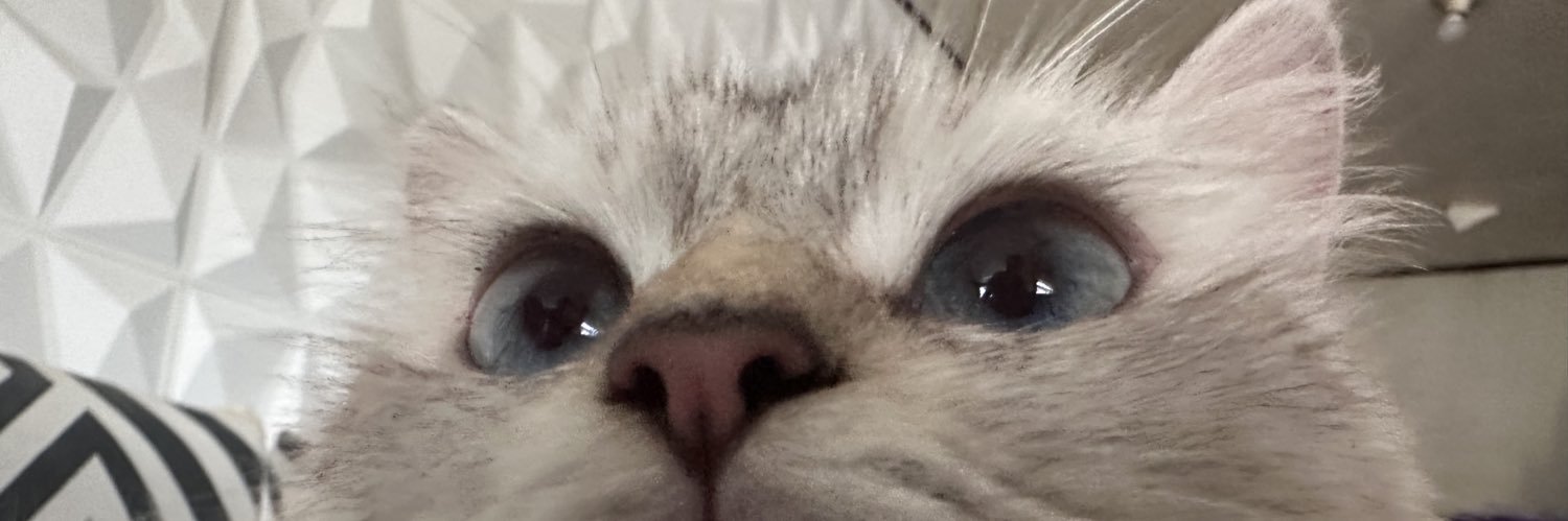 _pamsu's profile banner image
