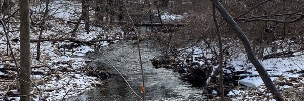 charmalloc Profile Banner