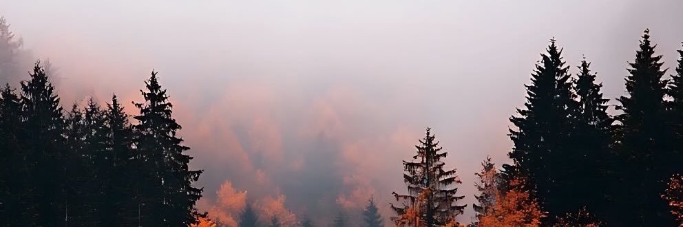 manishthakur_'s profile banner image