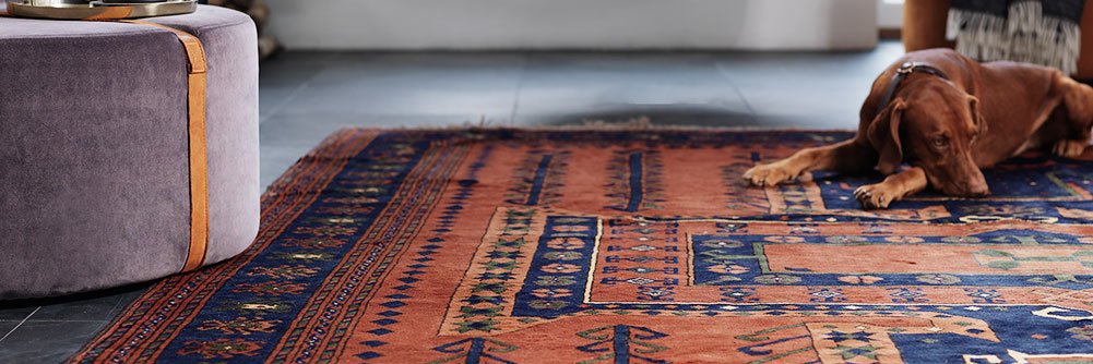 carpetvista's profile banner image
