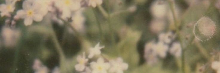 campcoups's profile banner image