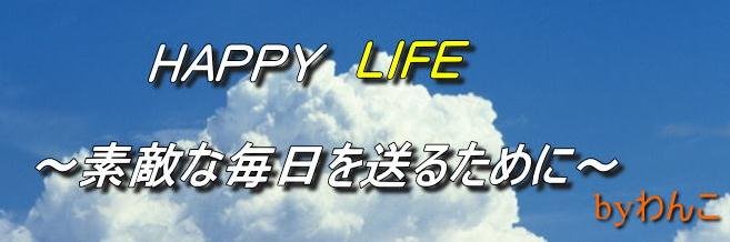 happysheep55's profile banner image