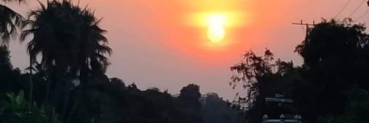 Mali_hamham's profile banner image