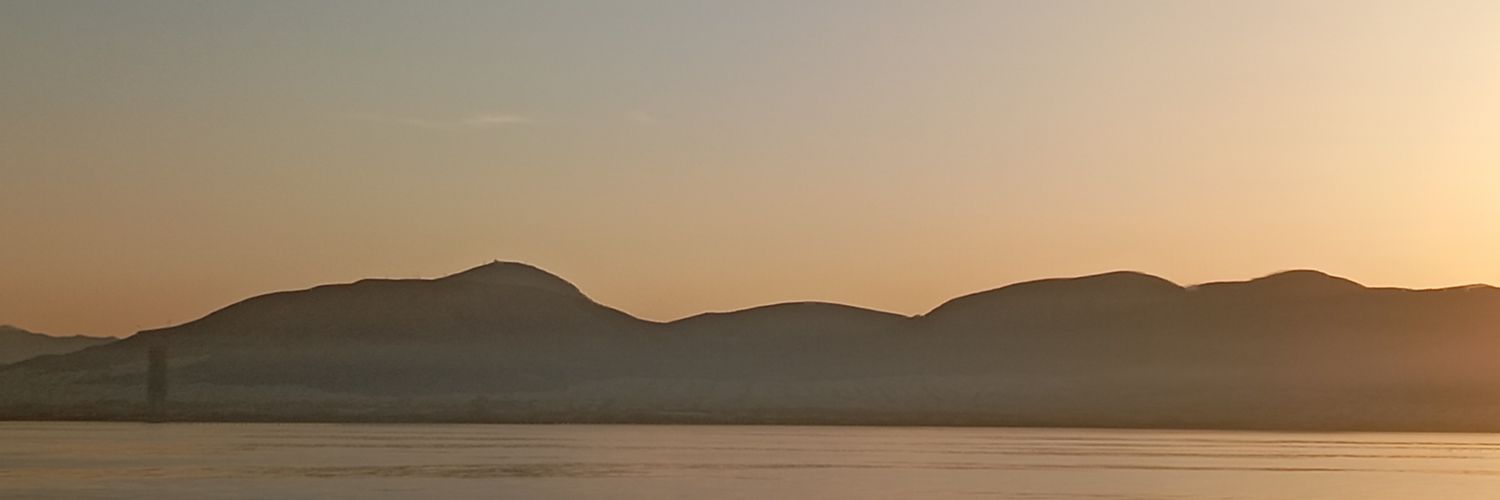 aniopseD's profile banner image