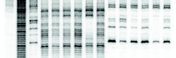 microbeRNA Profile Banner