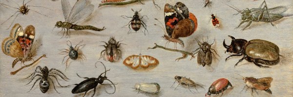 KeironDBrown Profile Banner